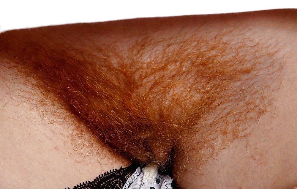 From the Moshe Files: Show Us Your Hairy Beaver #36533229
