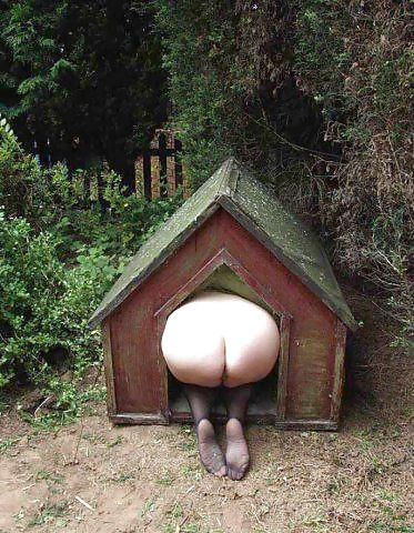 Wixxbilder
 #33743302