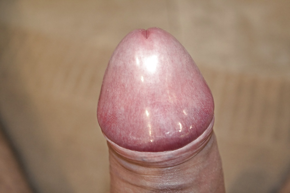 Some more uncut fat cock #25606856