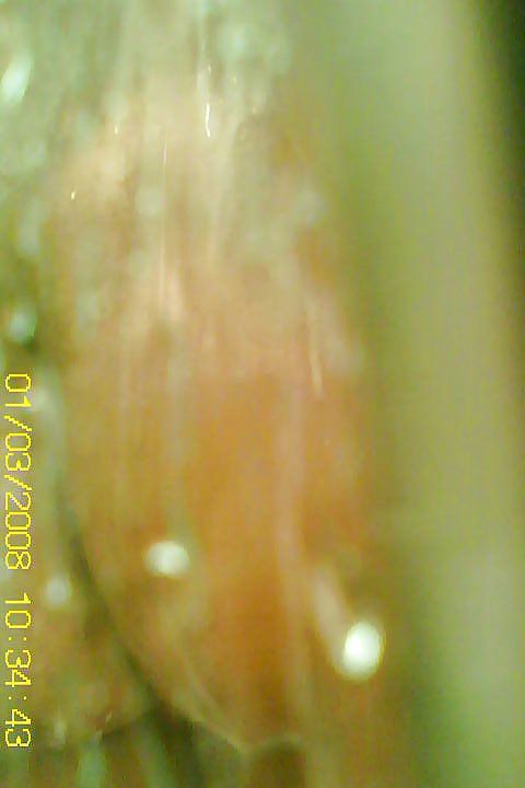 Hidden cam pics of my ex indian gf in the shower #38656109