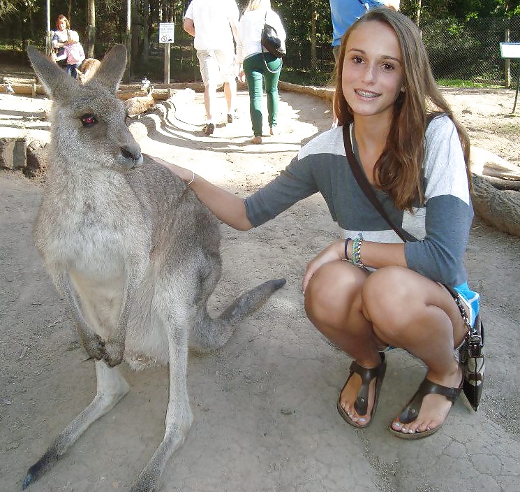 ヒューブシェ・ガールズ 4
 #32989340