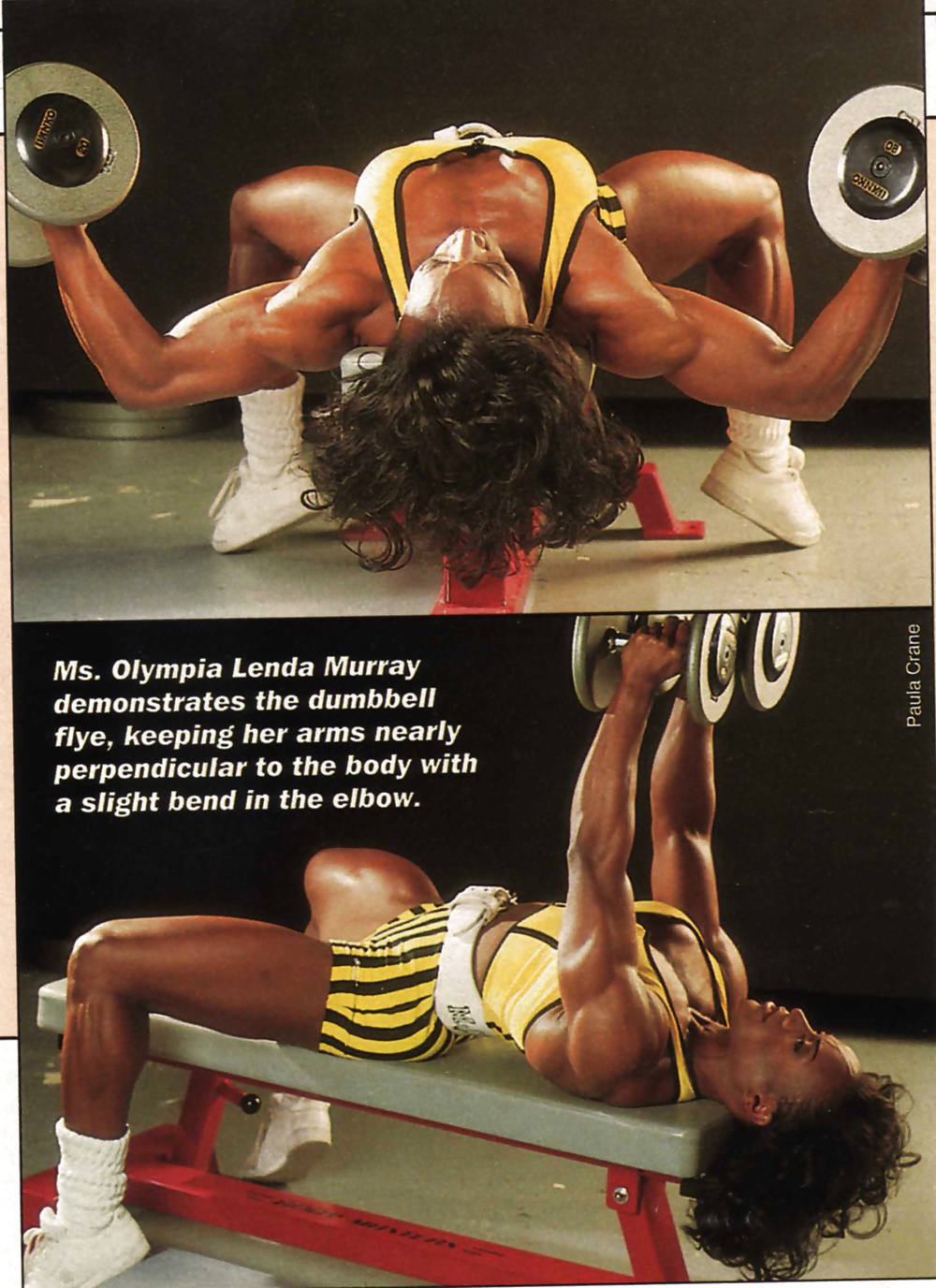 Lenda Murray: Ms Olympia, Sexy Amazing Muscle FBB - Ameman #25225117