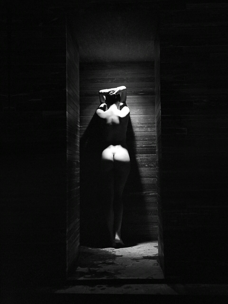 ジャナス・コレクション 1009
 #23169265