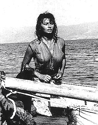 Wintage 1
 #31610292