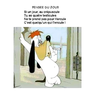 On s'amuse, la la 2 #28111000