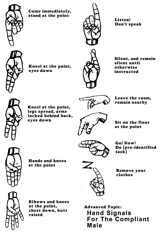 ¡¡Instrucciones para los esclavos !!
 #34520693