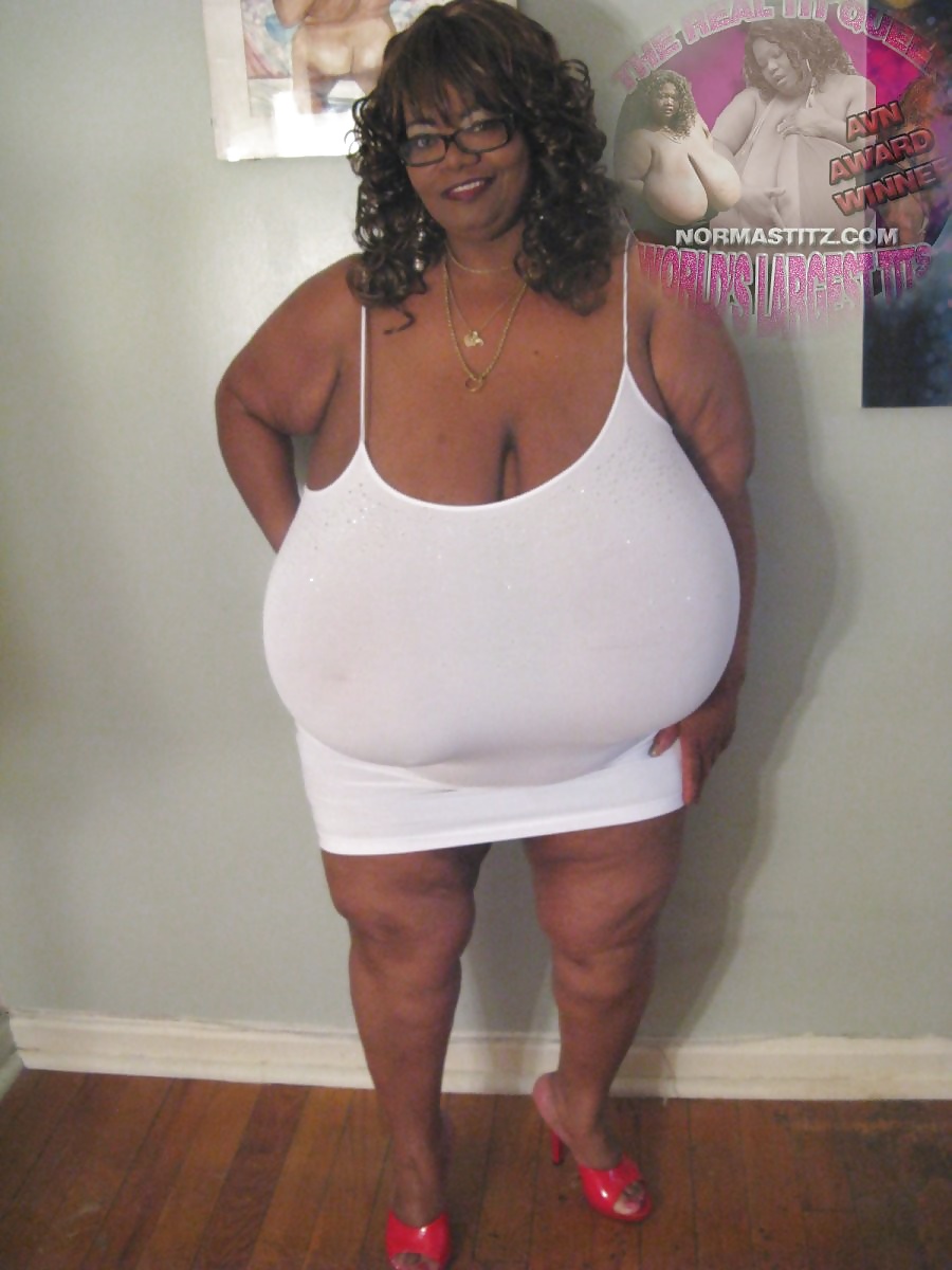 Tette 13 (norma stitz vol.1)
 #27240445