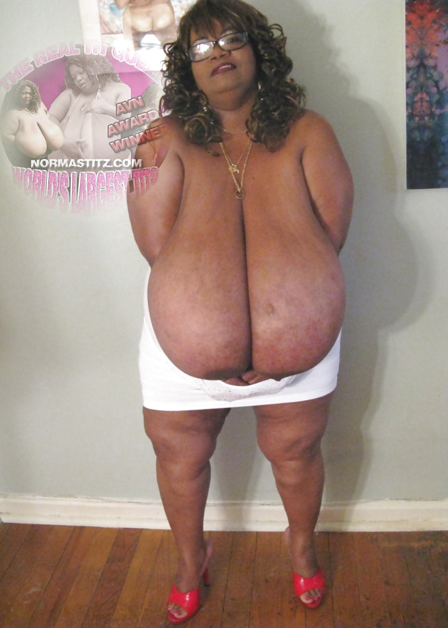 13 Titten (Norma Stitz Vol.1) #27240509