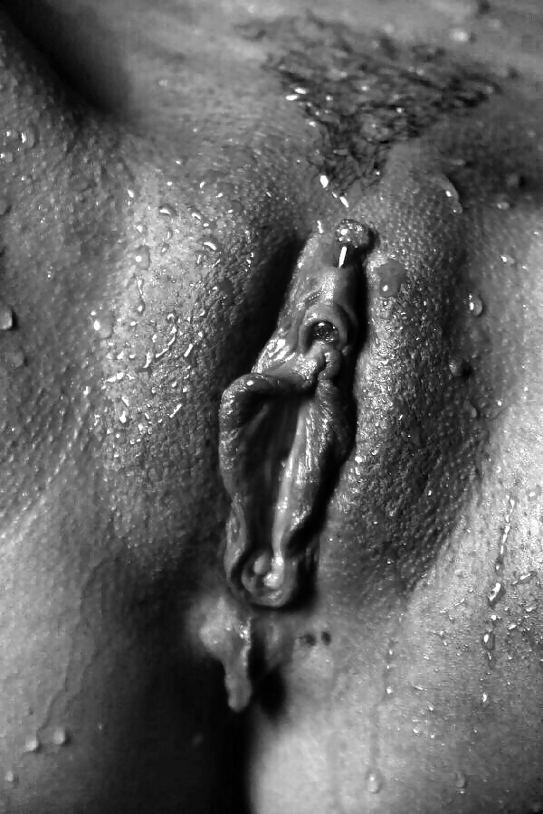 Janas art de la joie 137
 #27559456