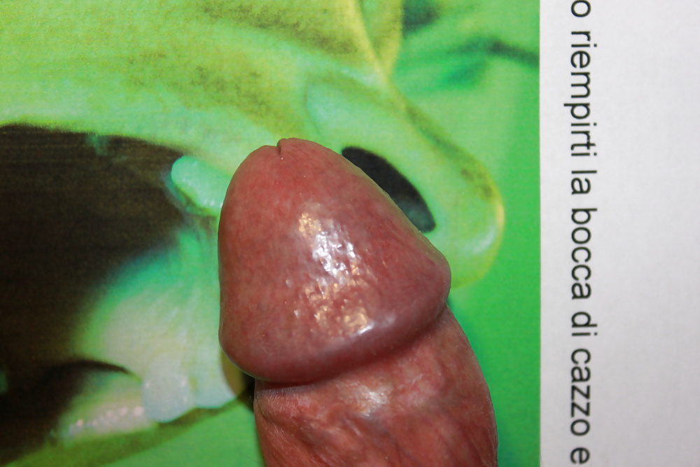 スヌービーあたり
 #39410167