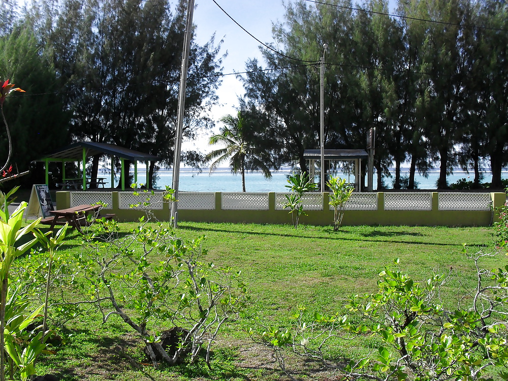 Holiday snaps  #25300201