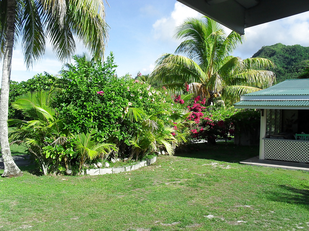 休日のスナップ 
 #25300212