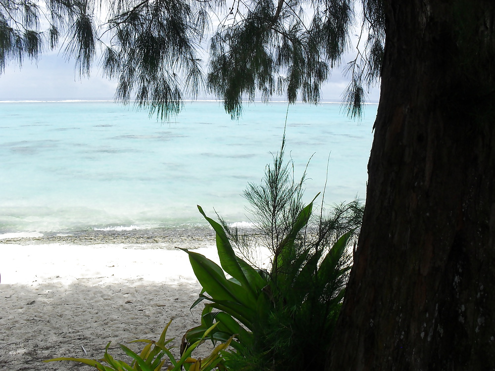 休日のスナップ 
 #25300223