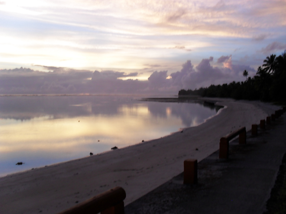 休日のスナップ 
 #25300229