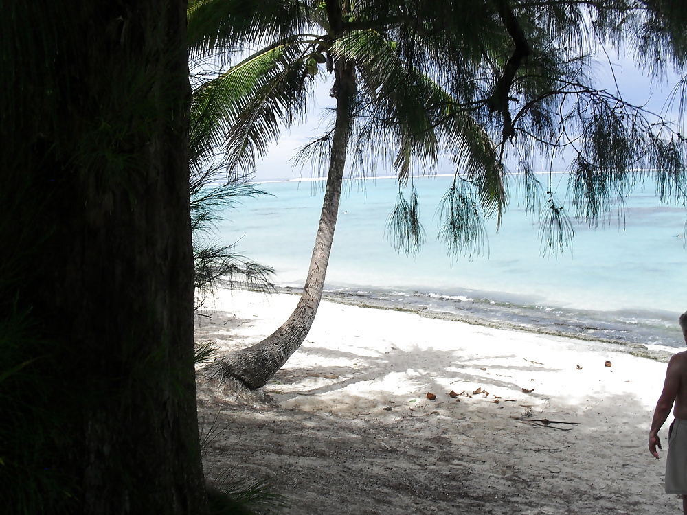 休日のスナップ 
 #25300239