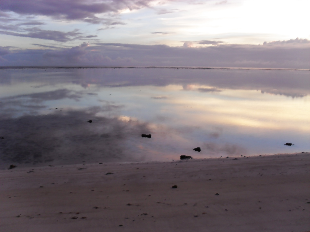 休日のスナップ 
 #25300245