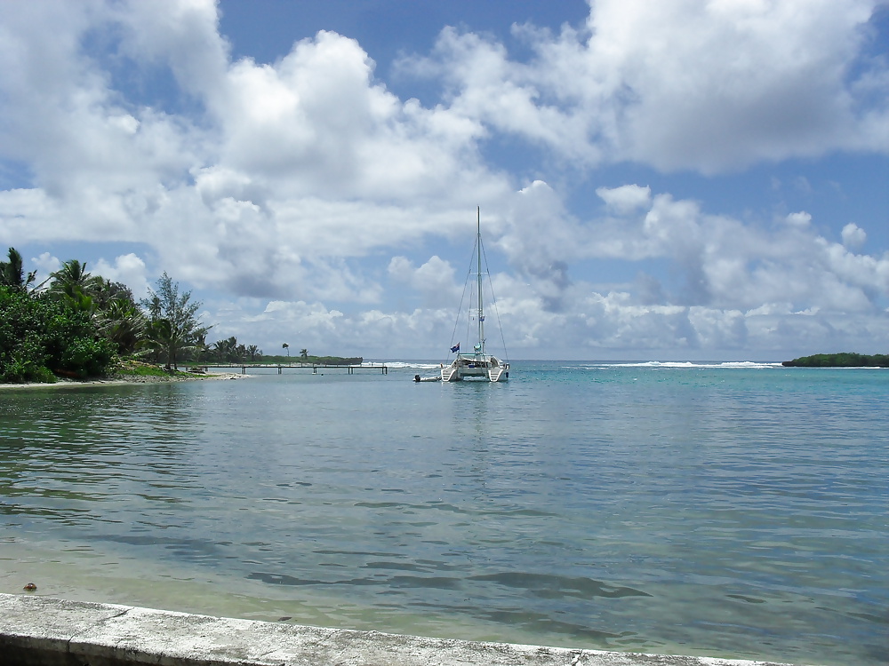 休日のスナップ 
 #25300252