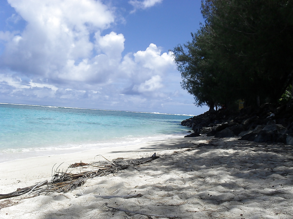 休日のスナップ 
 #25300258