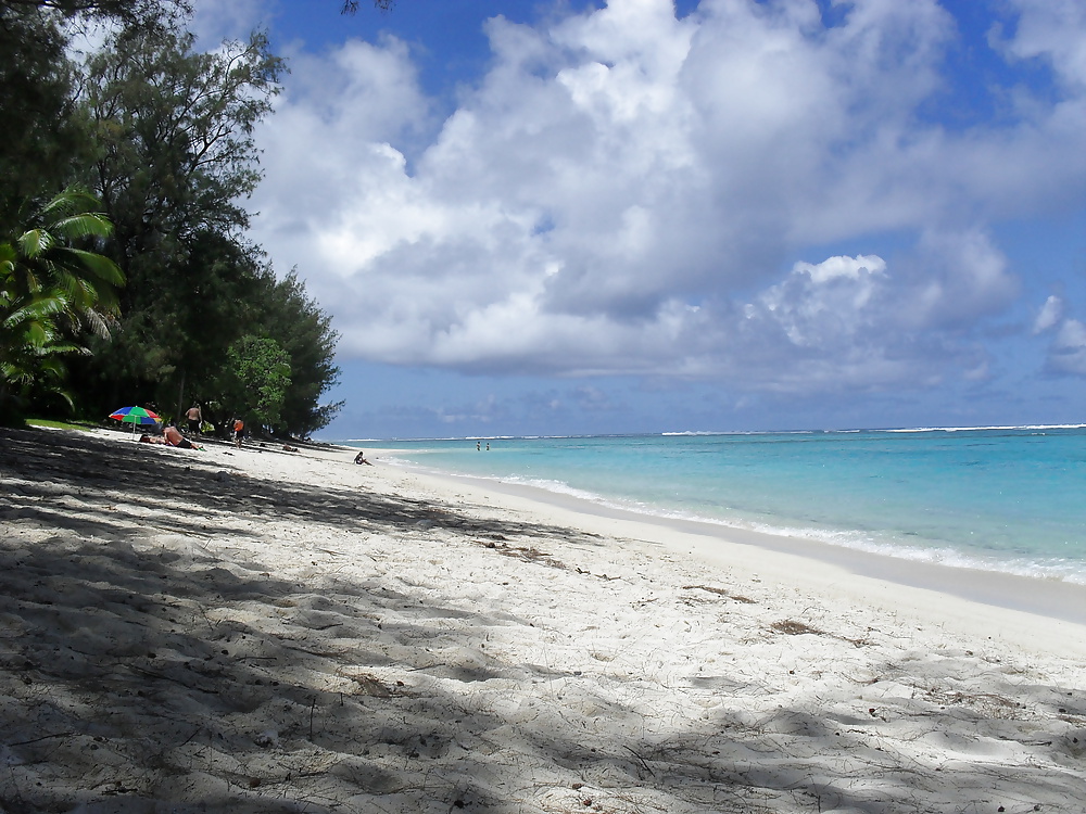 休日のスナップ 
 #25300265