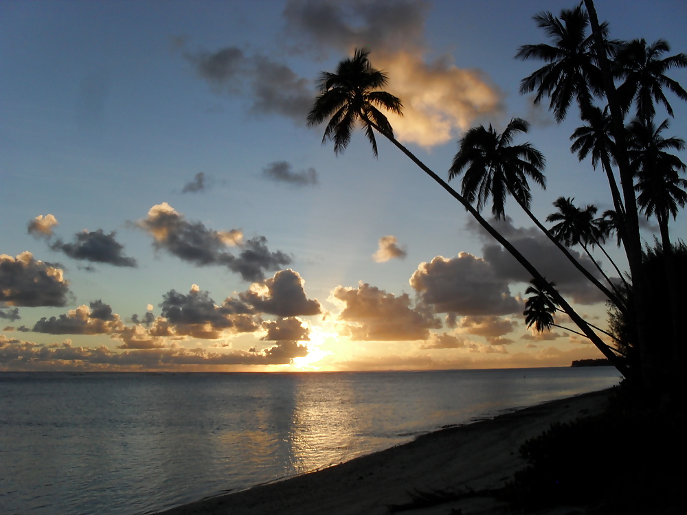 休日のスナップ 
 #25300273