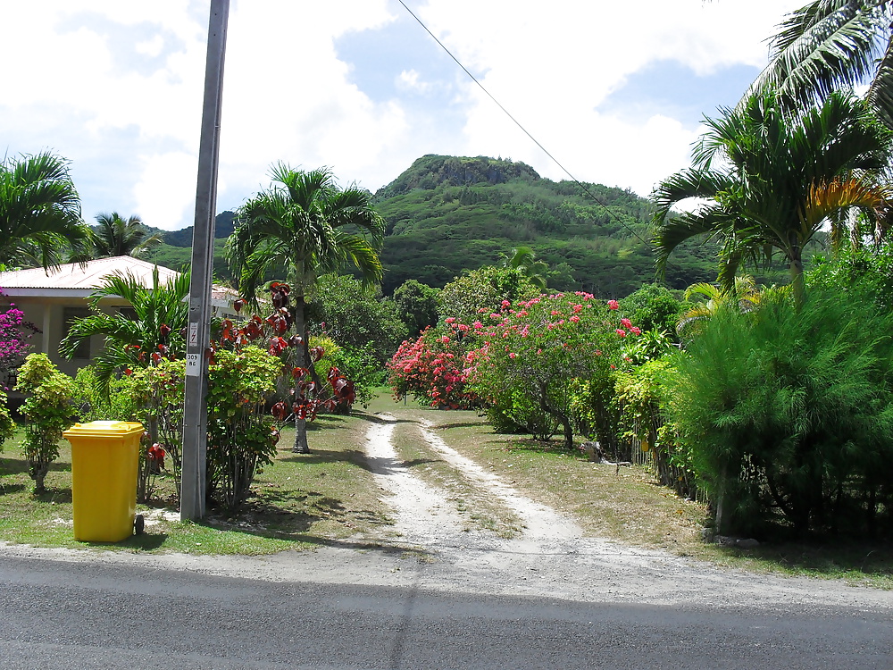 休日のスナップ 
 #25300283