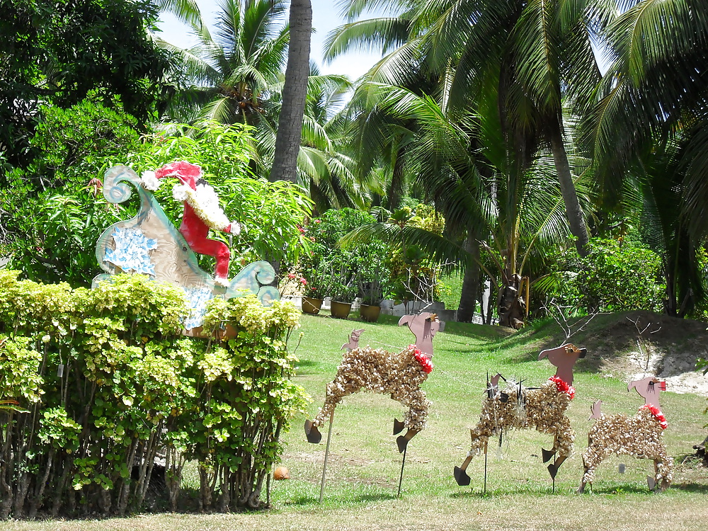 休日のスナップ 
 #25300294