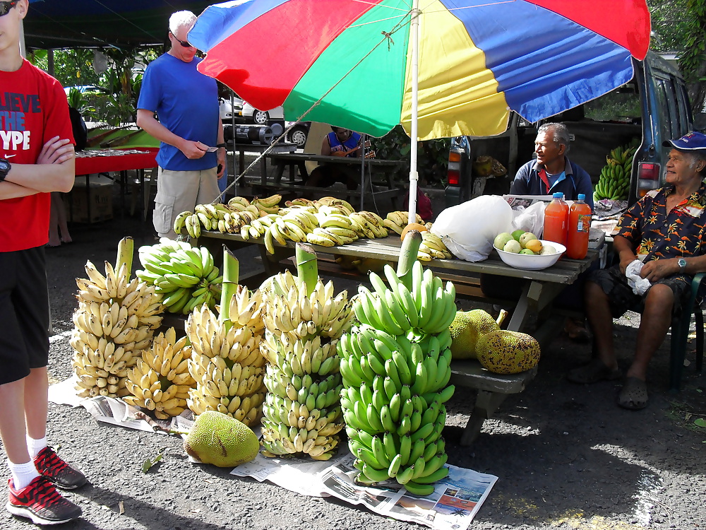 休日のスナップ 
 #25300305