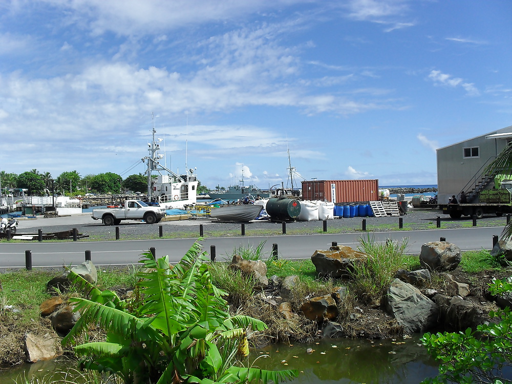 休日のスナップ 
 #25300314