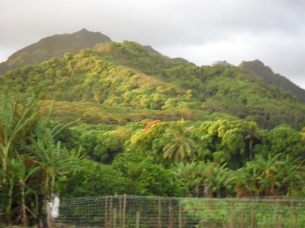 休日のスナップ 
 #25300323