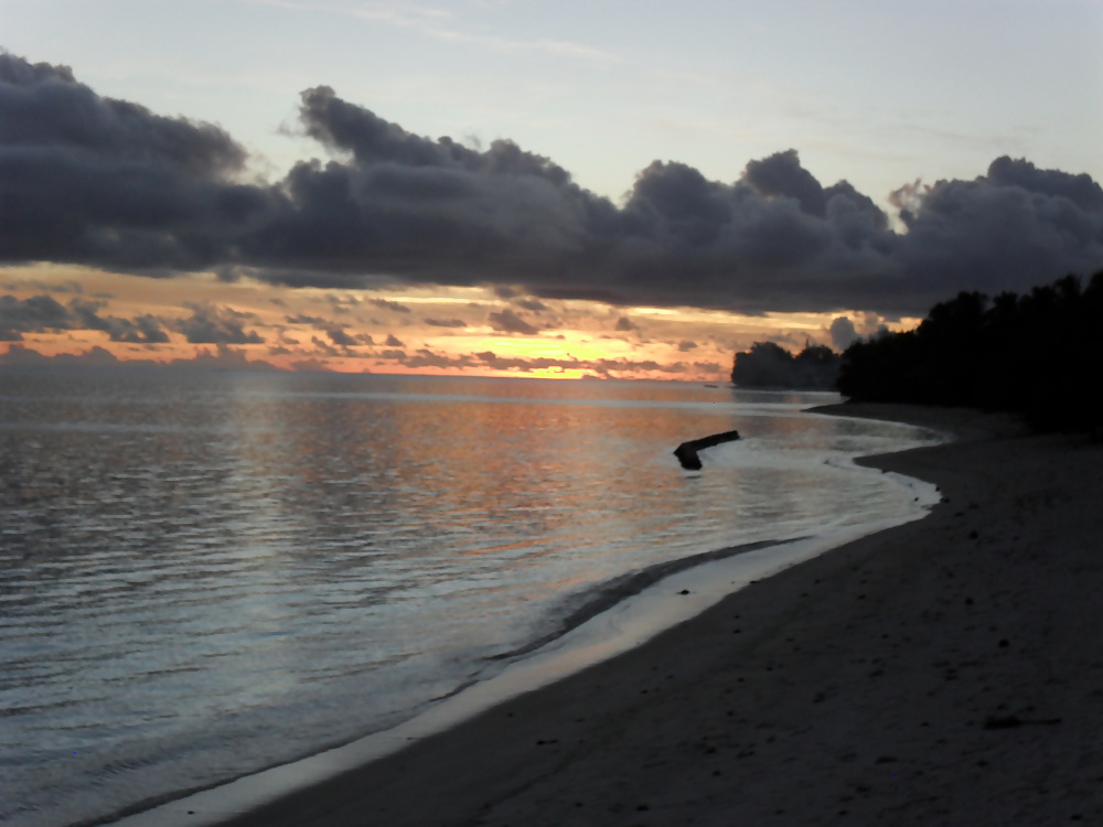 休日のスナップ 
 #25300330