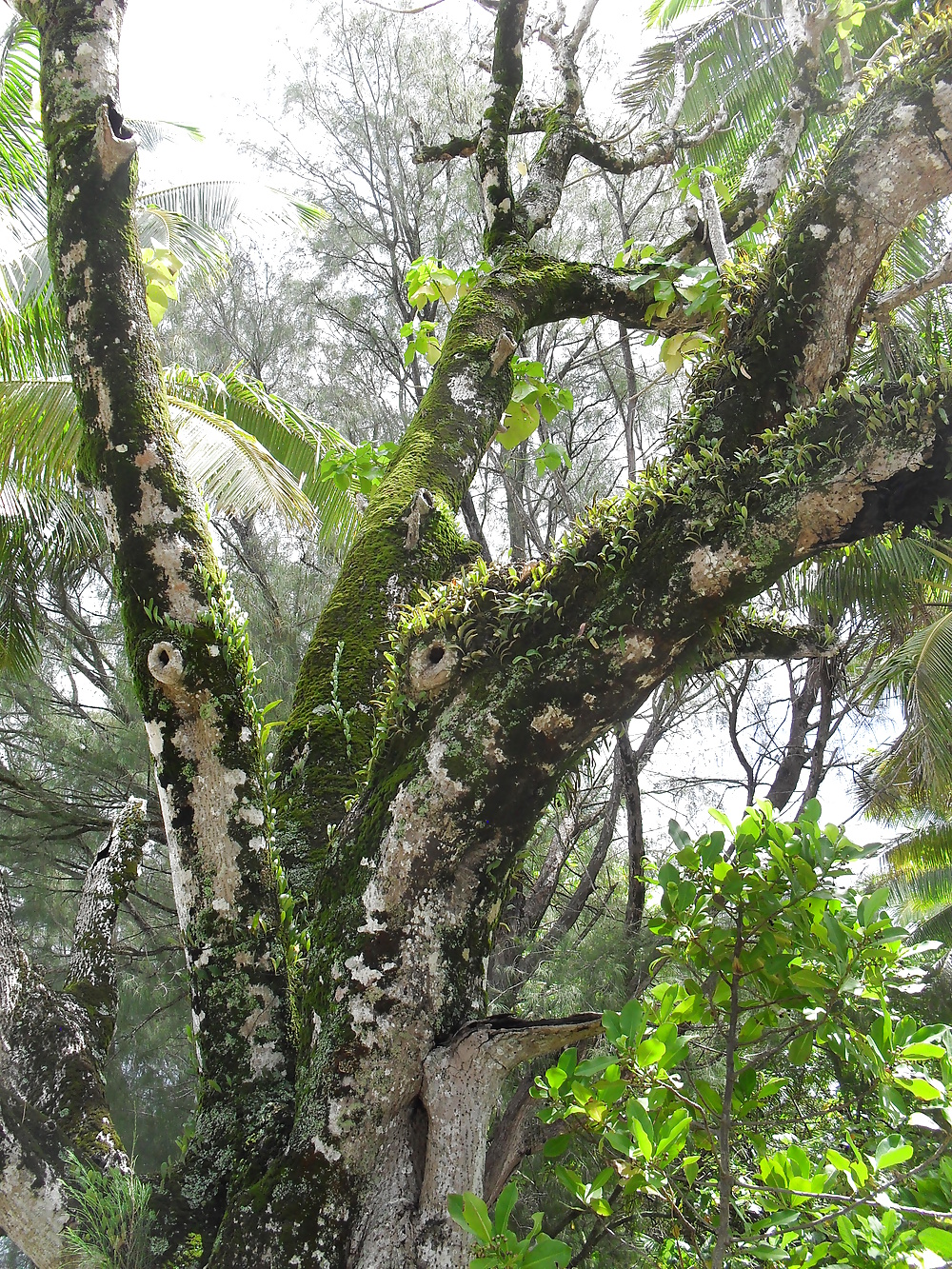 Holiday snaps  #25300344