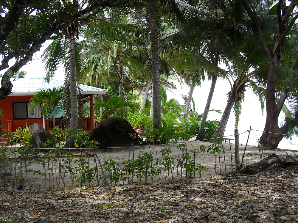 休日のスナップ 
 #25300364