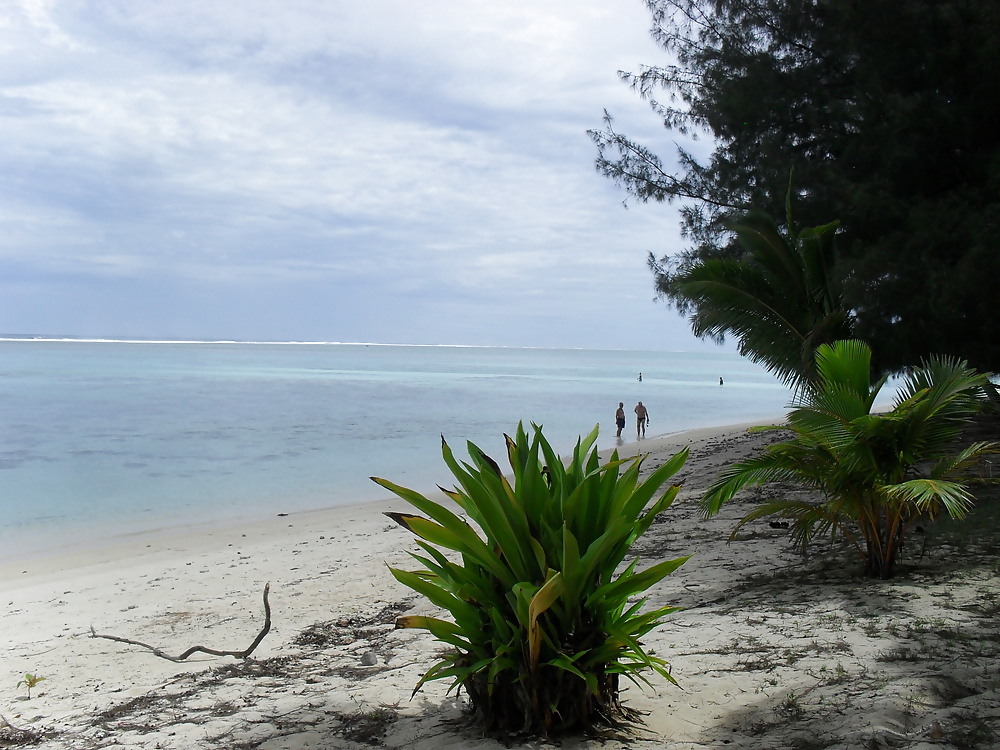 休日のスナップ 
 #25300372