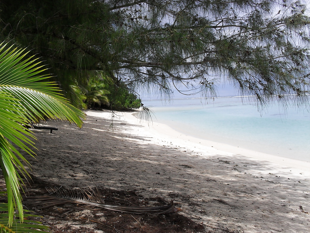 休日のスナップ 
 #25300381