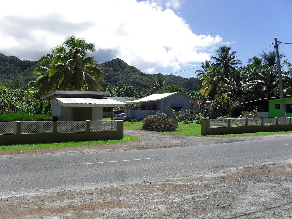 休日のスナップ 
 #25300387