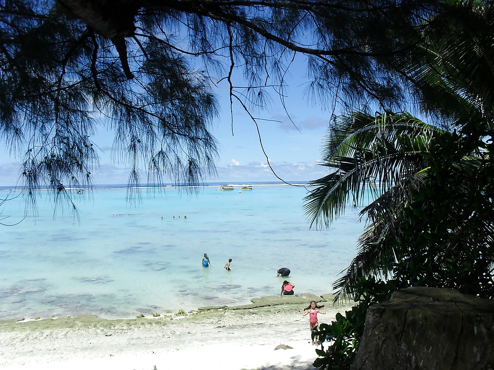 Holiday snaps  #25300398