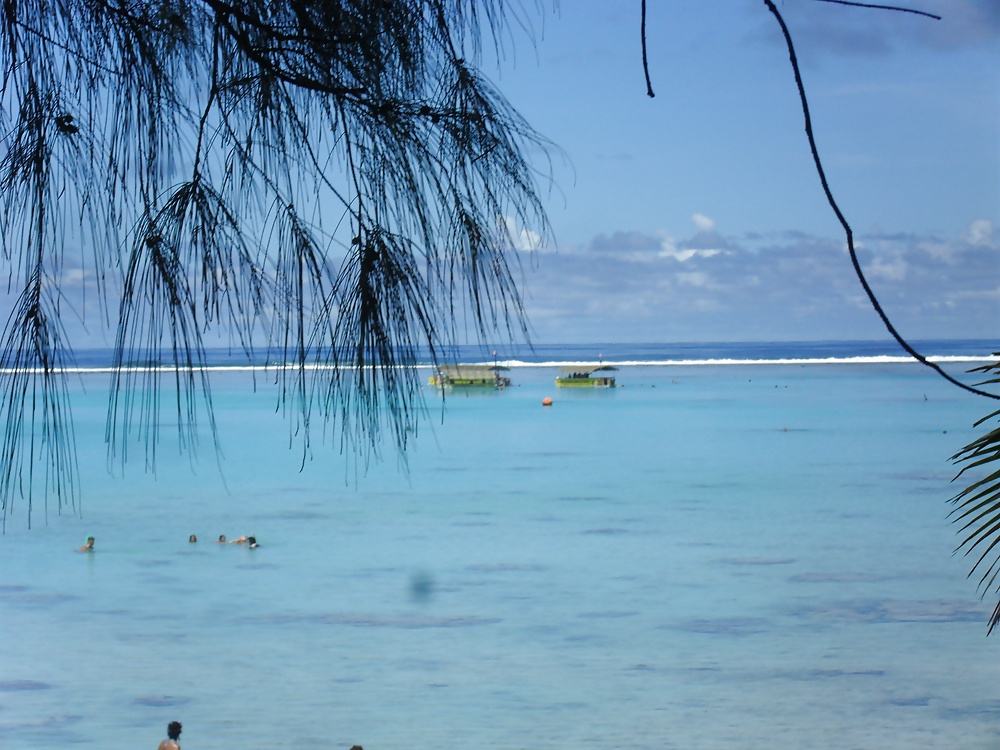 休日のスナップ 
 #25300406