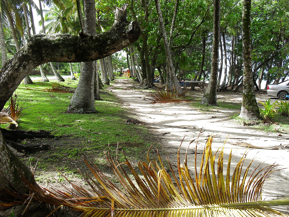 休日のスナップ 
 #25300418