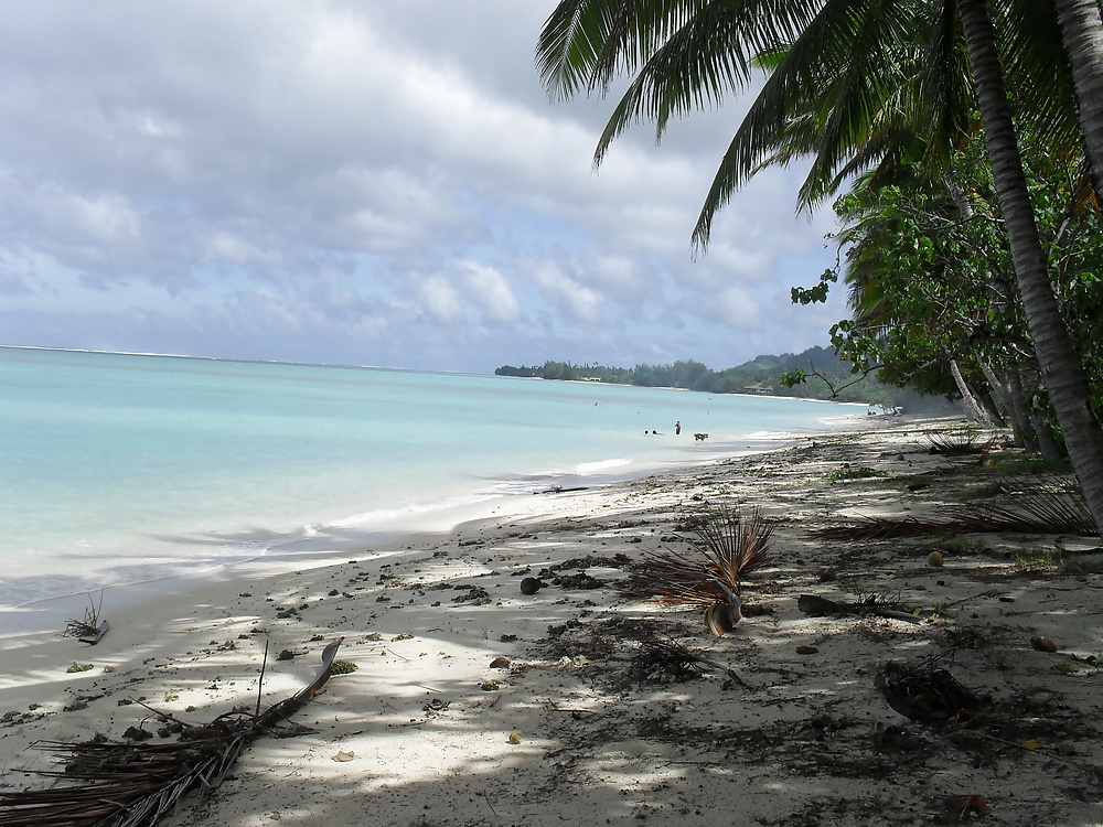 休日のスナップ 
 #25300427