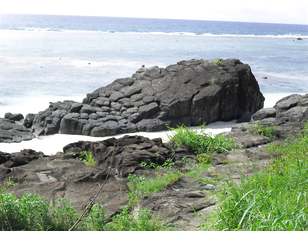 休日のスナップ 
 #25300444