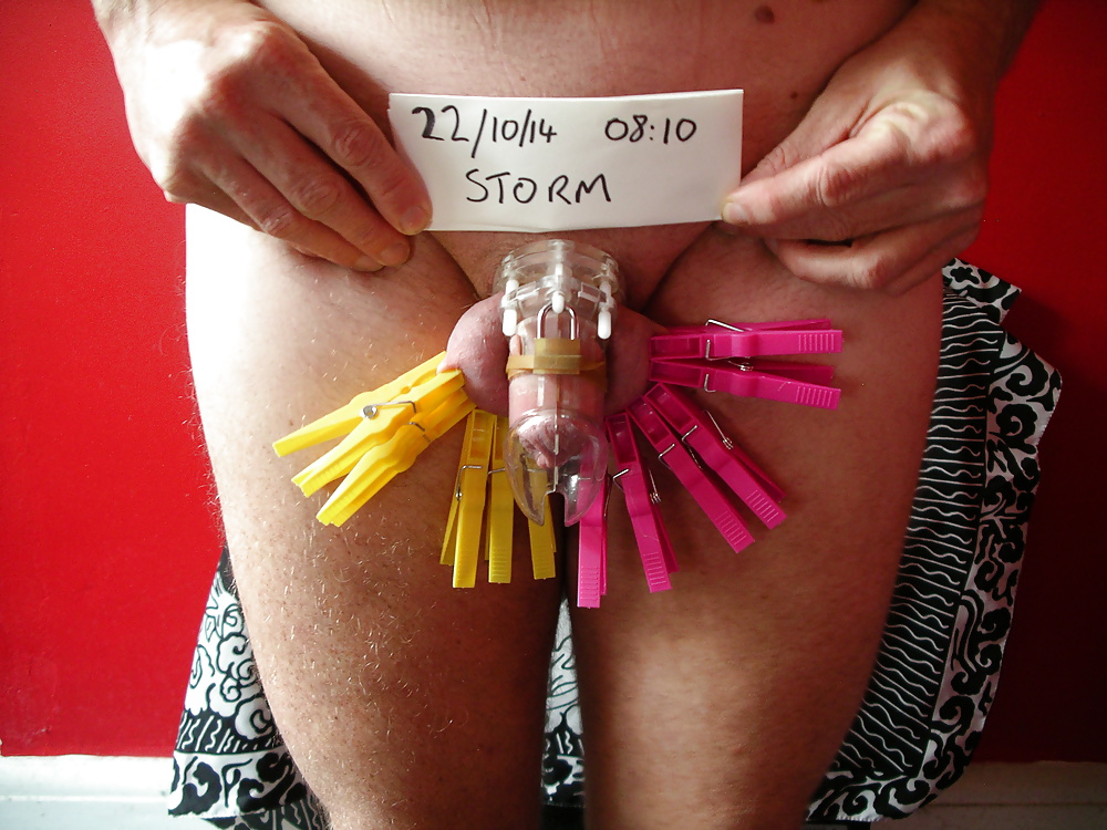 My chastity sub
 #41066446