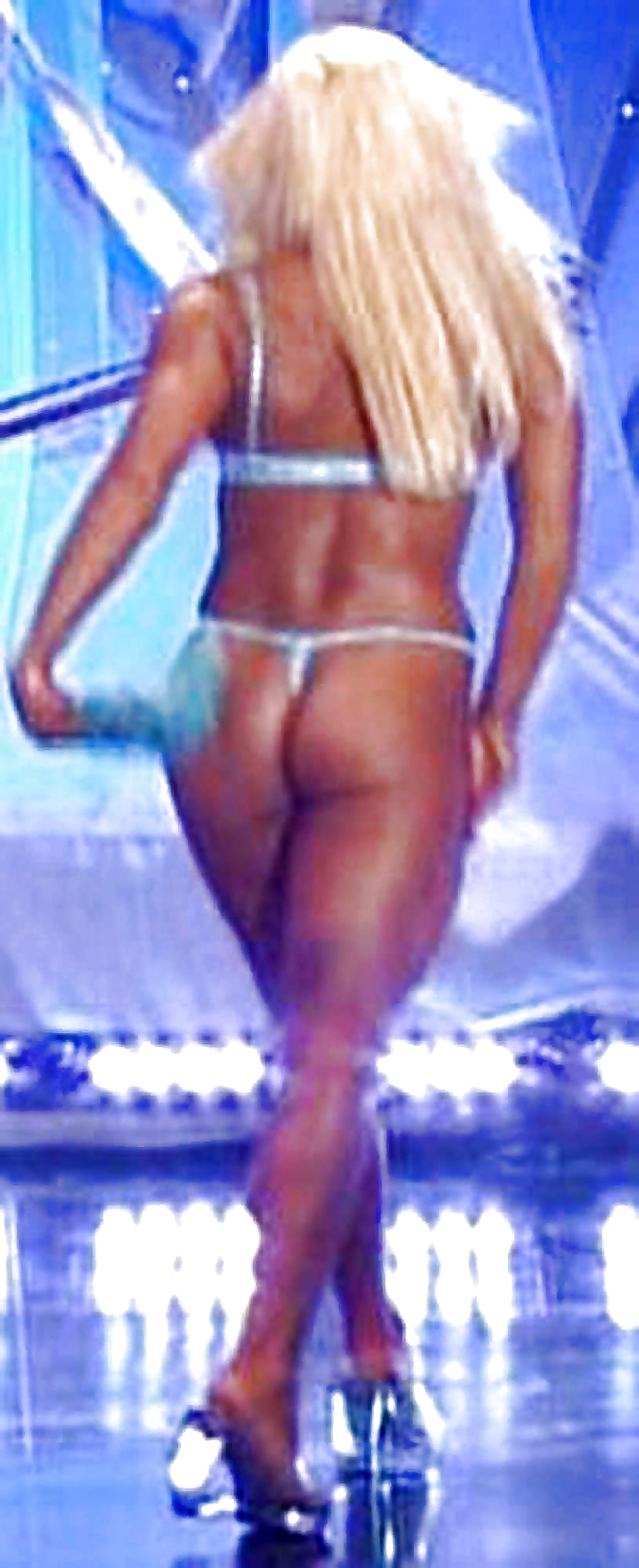 Torrie Wilson  #34872930