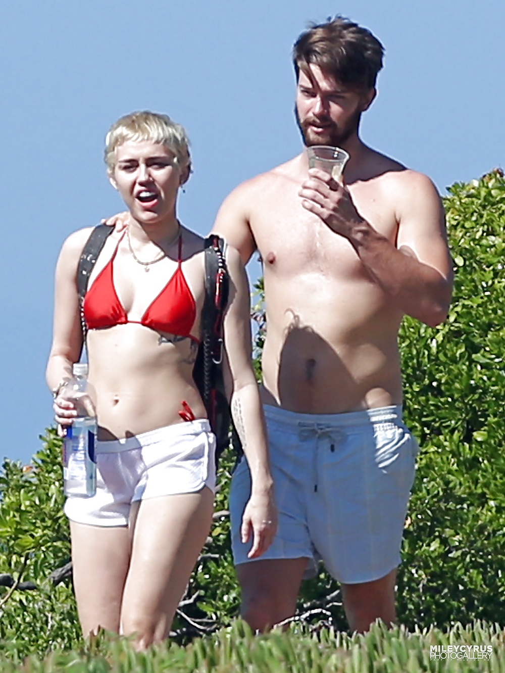 Miley cyrus en bikini 2015 
 #41002176