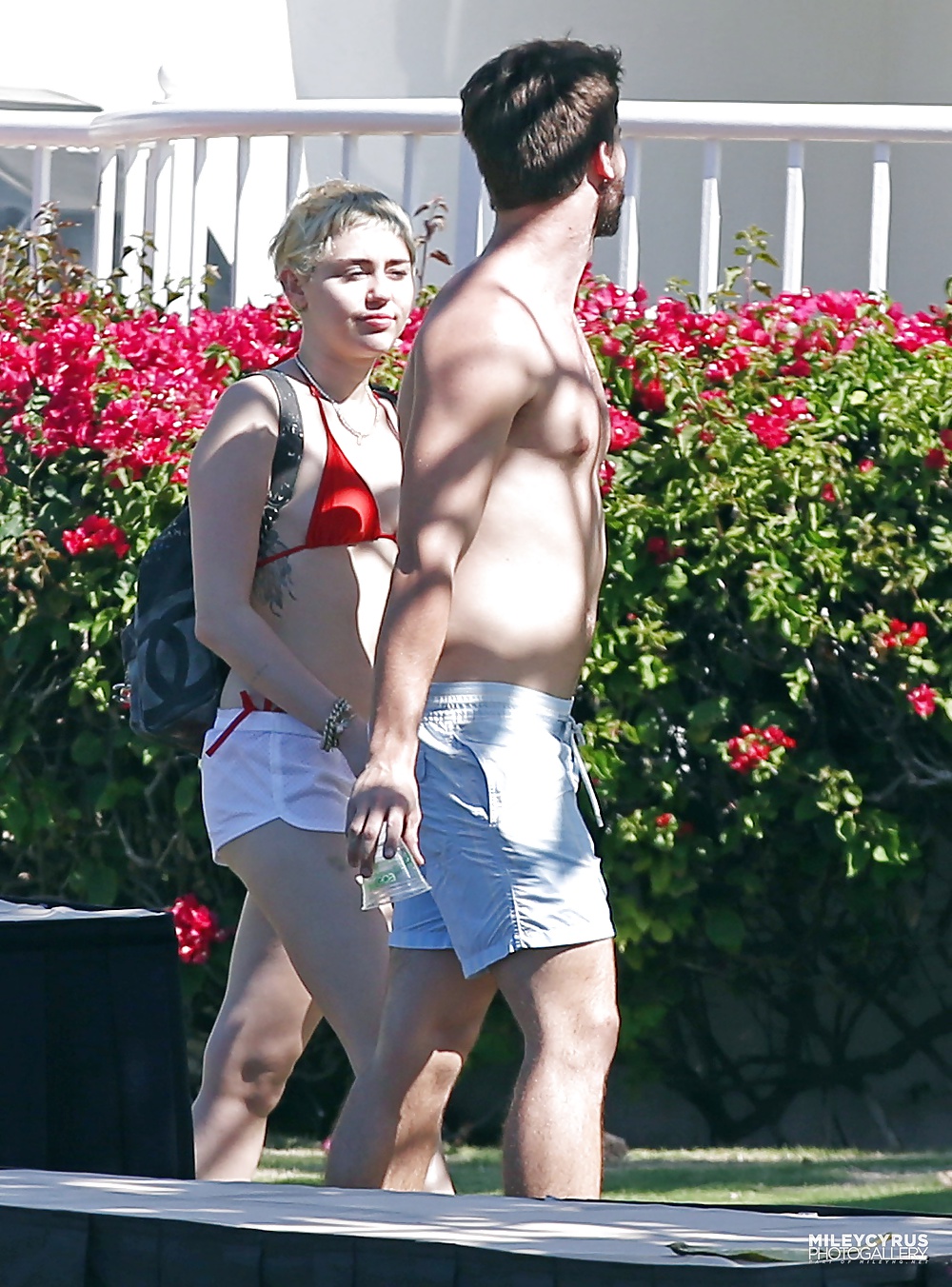 Miley cyrus en bikini 2015 
 #41002207