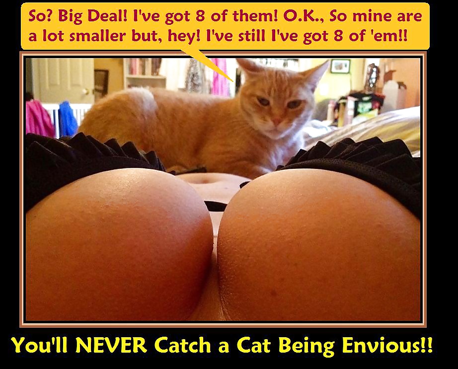CCCLXXV Funny Sexy Captioned Pictures & Posters 021514 #35440930