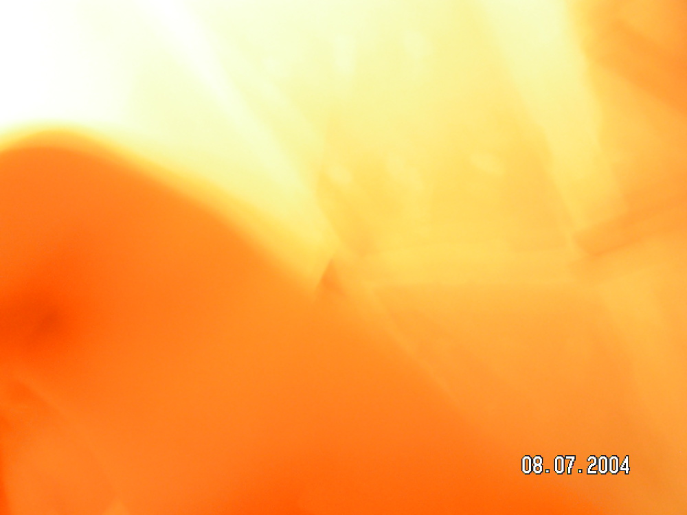 素人 - 自家製
 #25498104