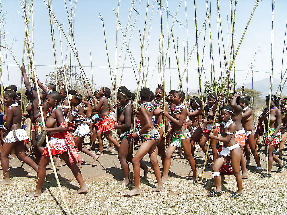 Africanas
 #26308706