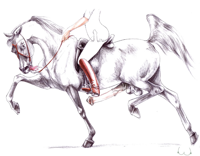 レイタリンのお尻の穴
 #40384738