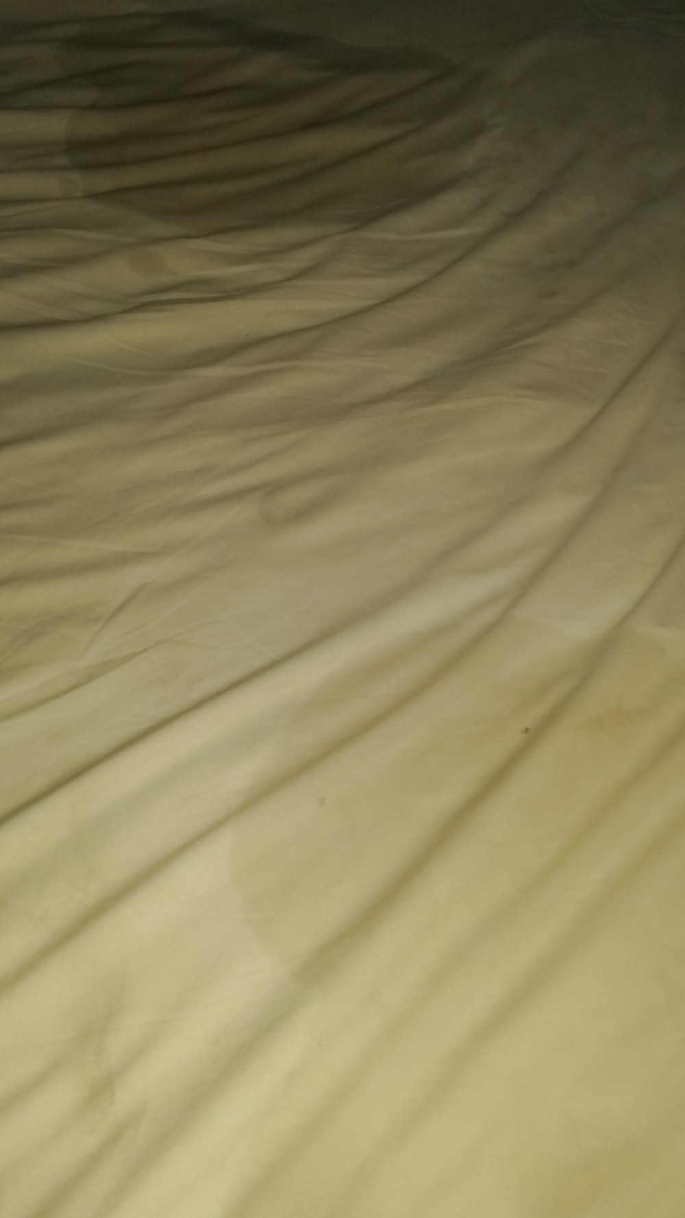 Perfect bbw interracial multiple orgasms aftermath #38541122