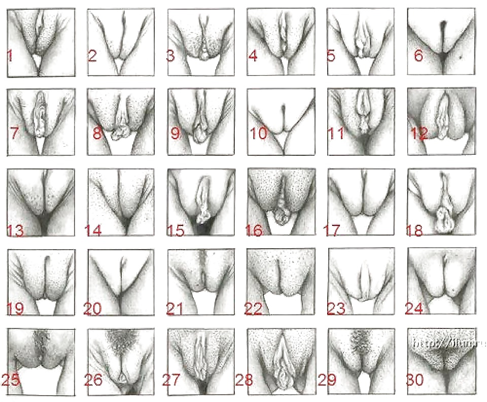 All pussy dimension 